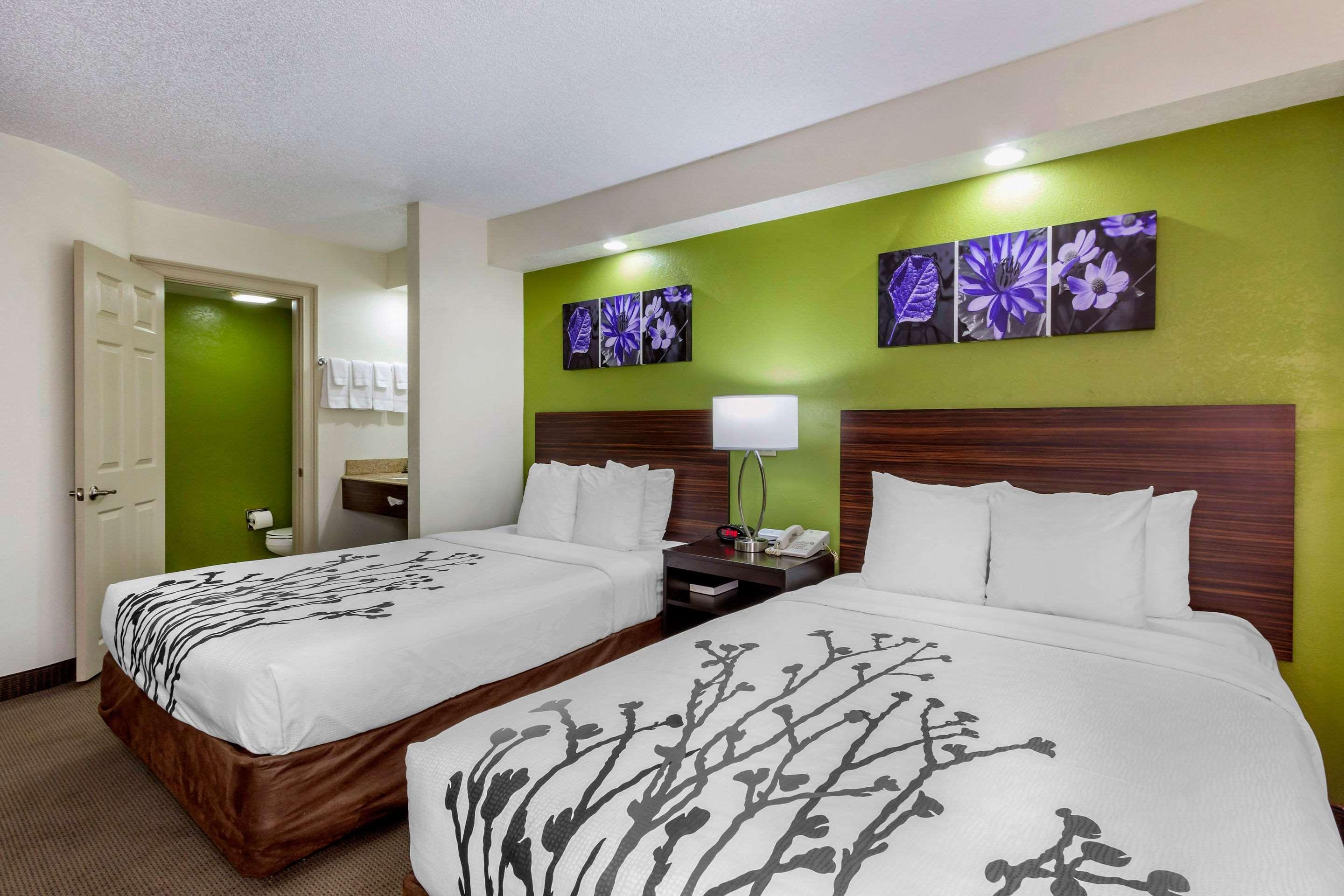Sleep Inn Near Busch Gardens - Usf Temple Terrace Zewnętrze zdjęcie