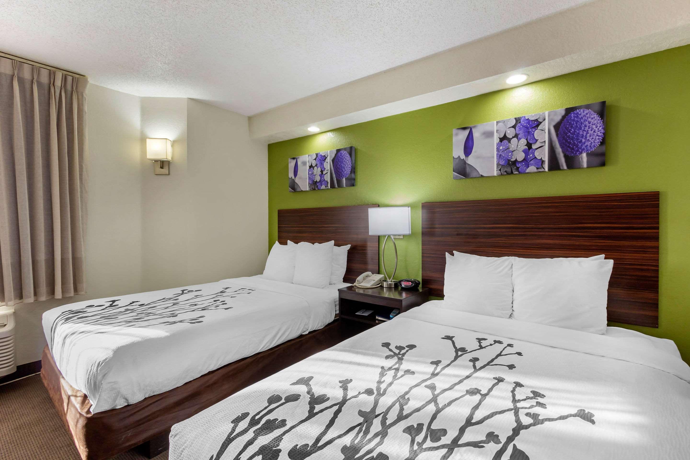 Sleep Inn Near Busch Gardens - Usf Temple Terrace Zewnętrze zdjęcie